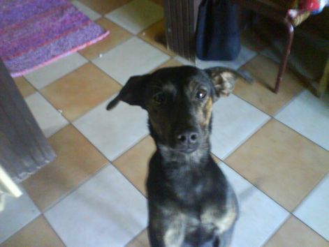 dsc01959.jpg dsc01959.jpg