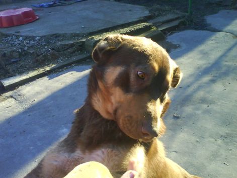 dsc01980.jpg dsc01980.jpg